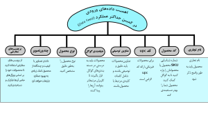 کمپین حداکثر عملکرد